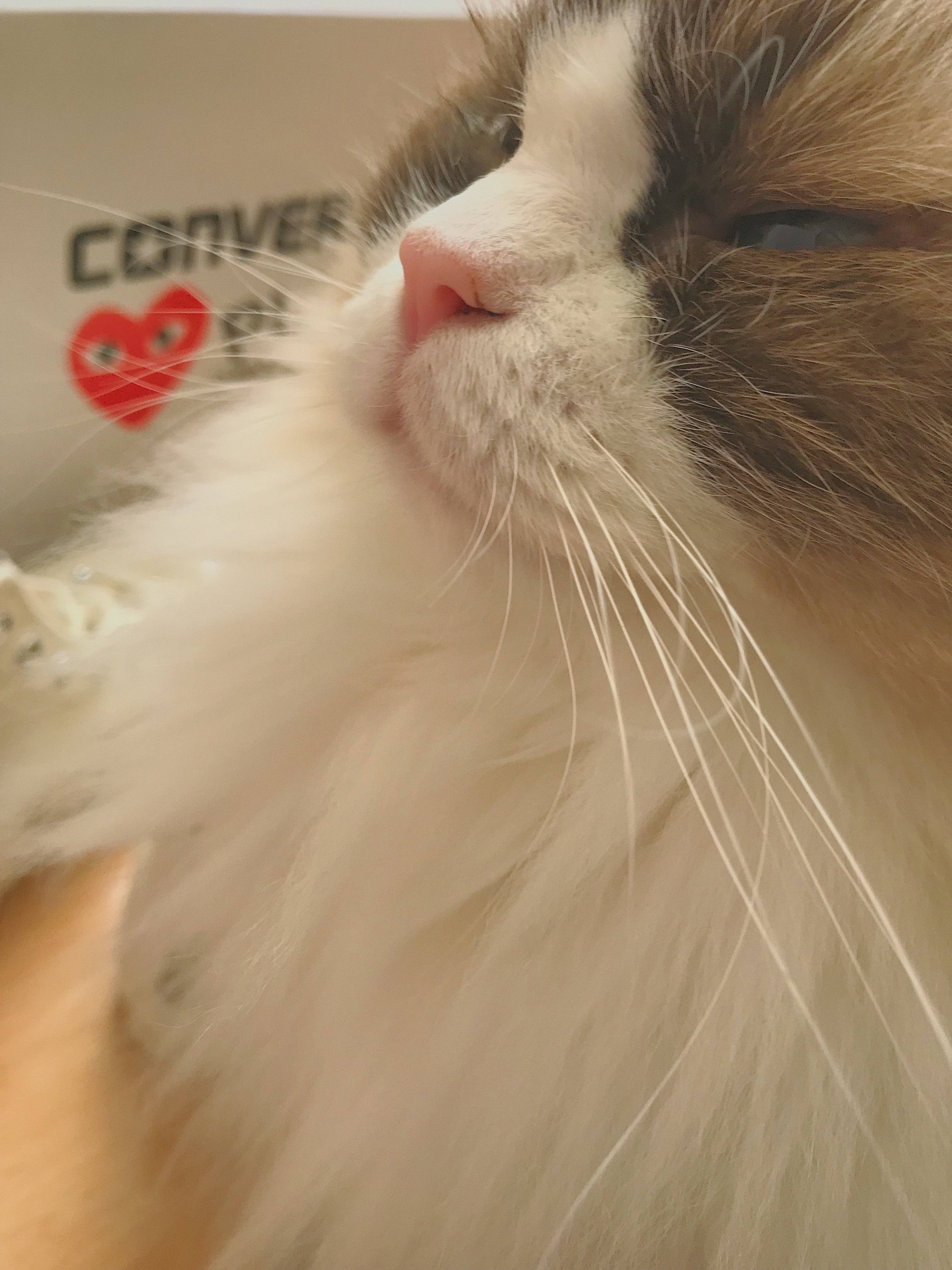 9331eba3-51ab-45cd-8021-aa38cdef9aa8